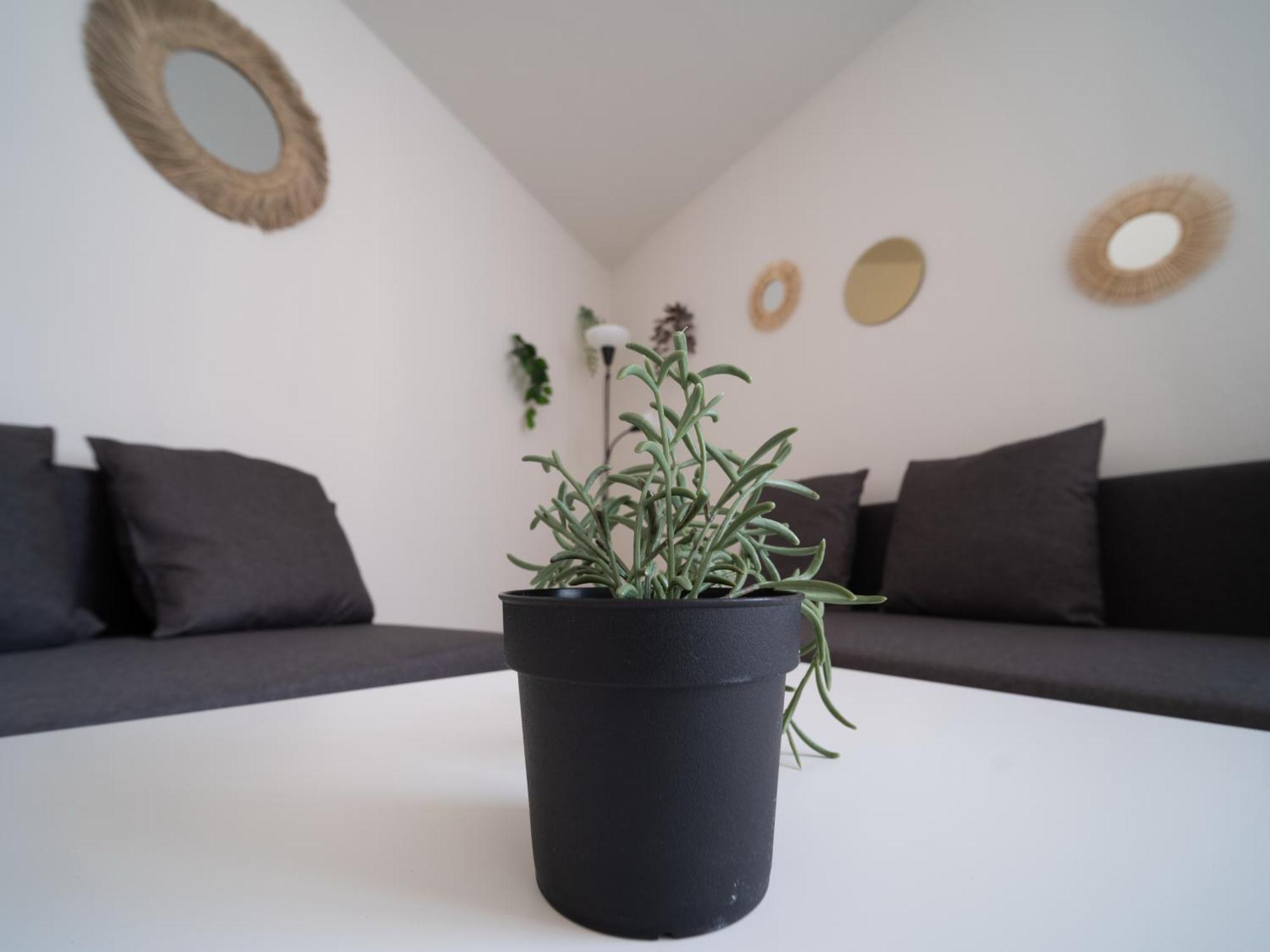 Appartement Tout Equipe A 6Min De La Gare St Charles Marseille Exterior photo